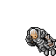 Sr Paladin