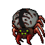 Spider Fiery